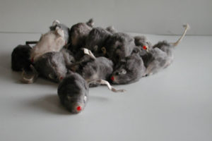 Fur Mouse Cat Toy
